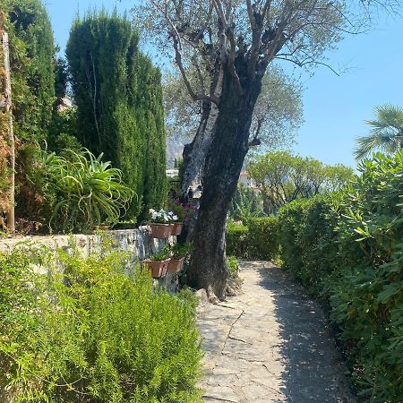 "Jardin Du Pian" Calme, Proche Gare, Mer مينتون المظهر الخارجي الصورة